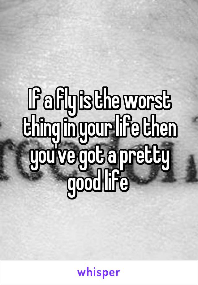 If a fly is the worst thing in your life then you've got a pretty good life 