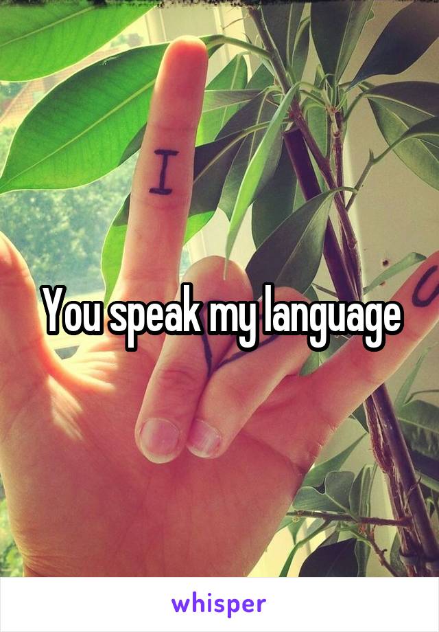 You speak my language