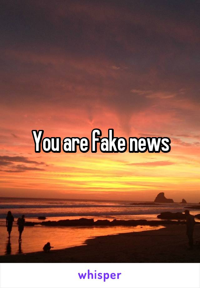 You are fake news