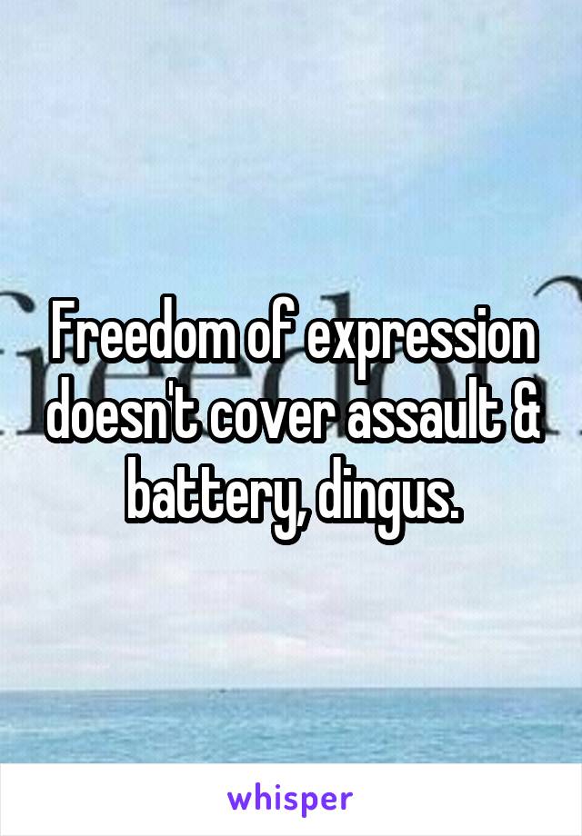Freedom of expression doesn't cover assault & battery, dingus.