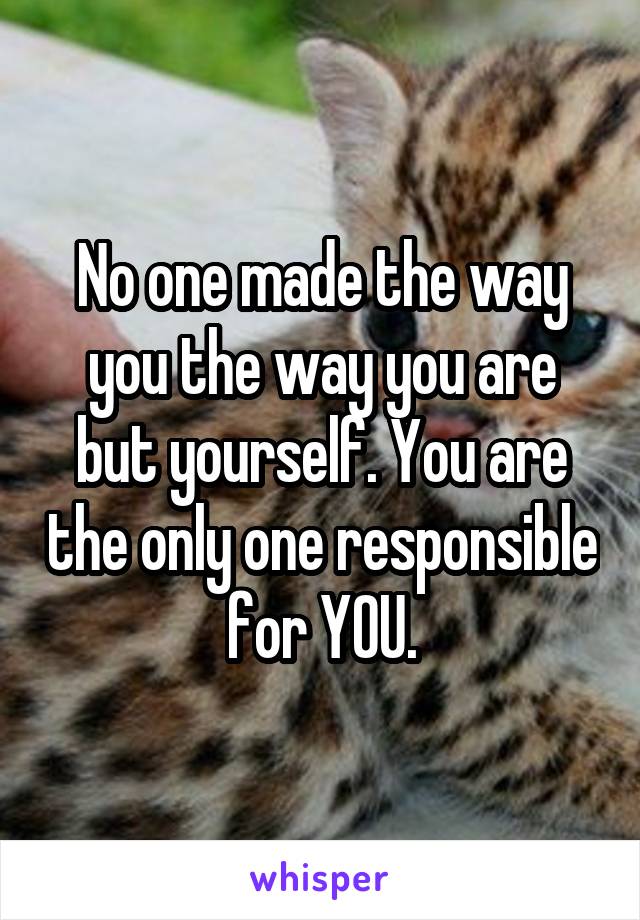 No one made the way you the way you are but yourself. You are the only one responsible for YOU.