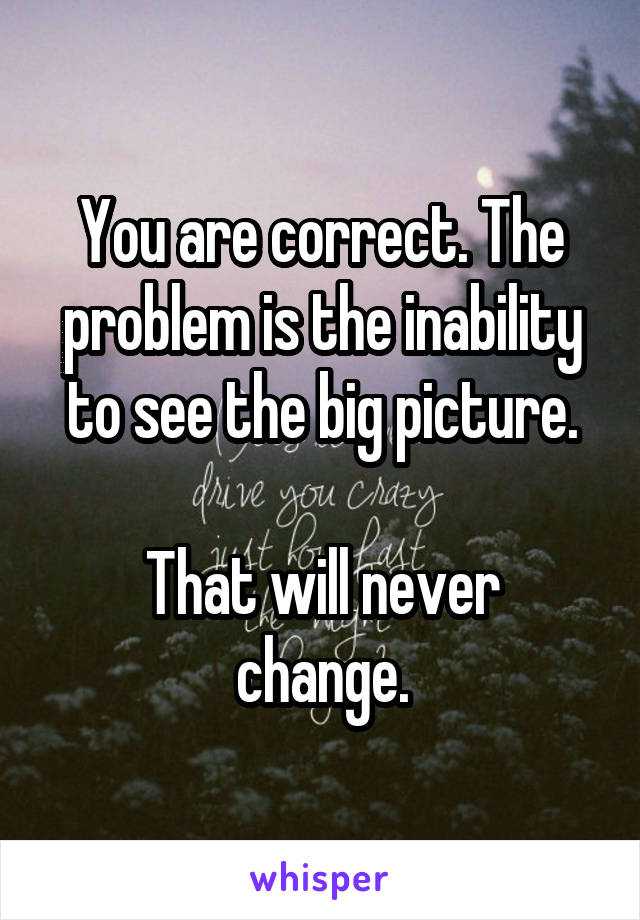 You are correct. The problem is the inability to see the big picture.

That will never change.