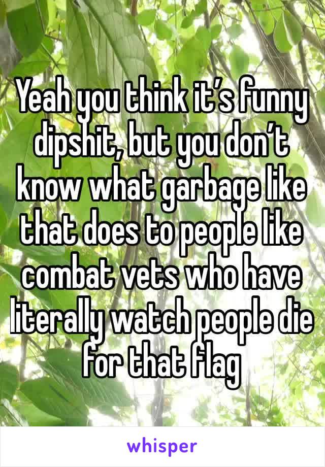Yeah you think it’s funny dipshit, but you don’t know what garbage like that does to people like combat vets who have literally watch people die for that flag