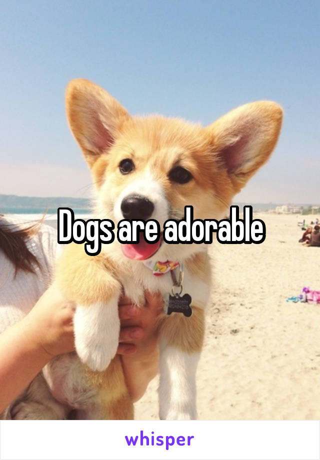 Dogs are adorable