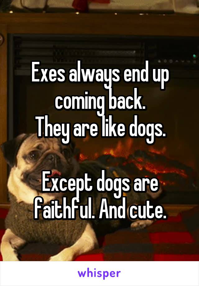 Exes always end up coming back.
They are like dogs.

Except dogs are faithful. And cute.