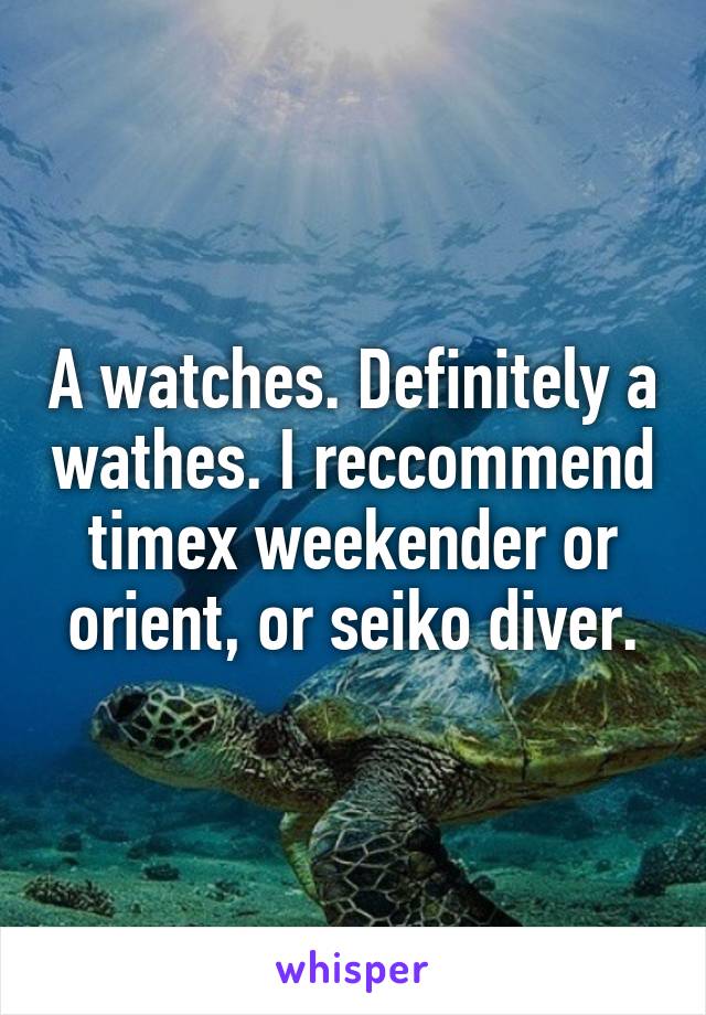 A watches. Definitely a wathes. I reccommend timex weekender or orient, or seiko diver.