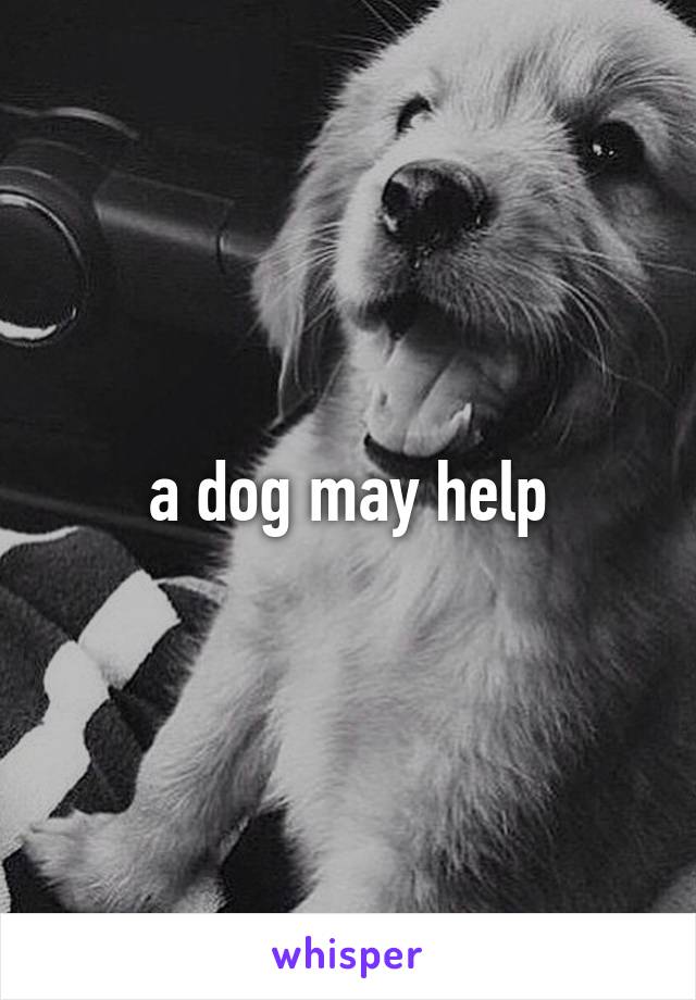 a dog may help