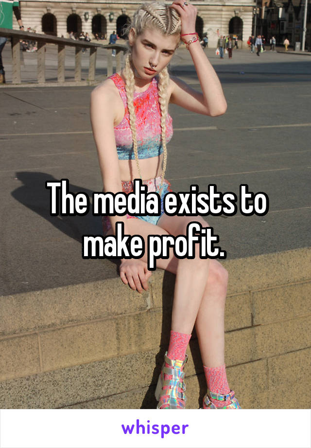 The media exists to make profit. 