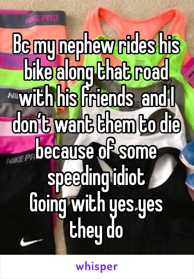 Bc my nephew rides his bike along that road with his friends  and I don’t want them to die because of some speeding idiot 
Going with yes yes they do 