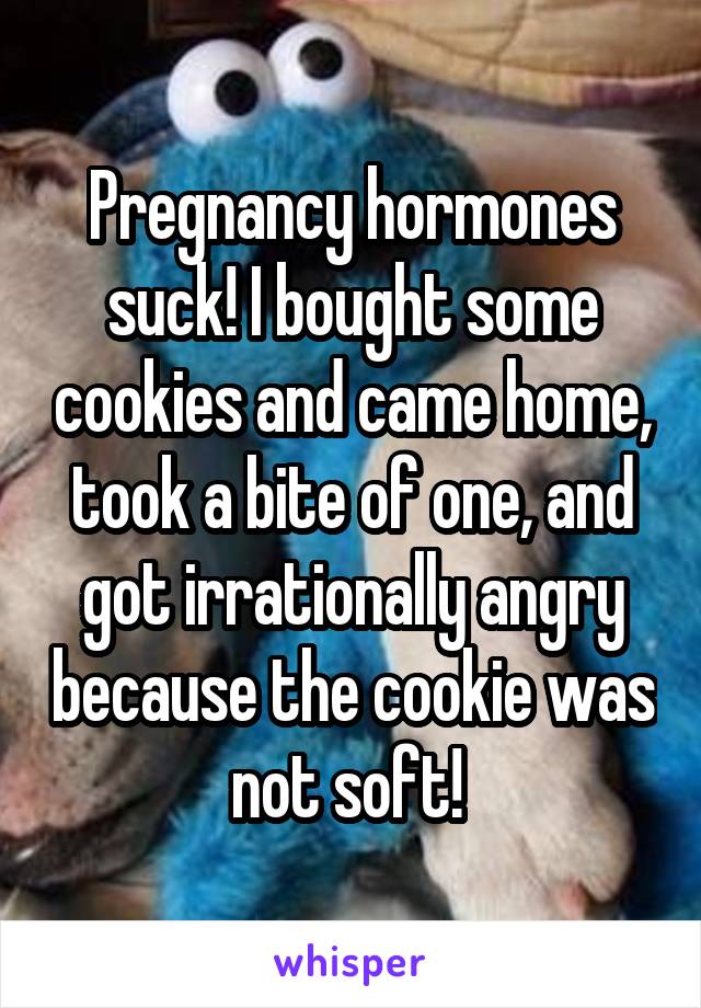 Pregnancy hormones suck! I bought some cookies and came home, took a bite of one, and got irrationally angry because the cookie was not soft! 