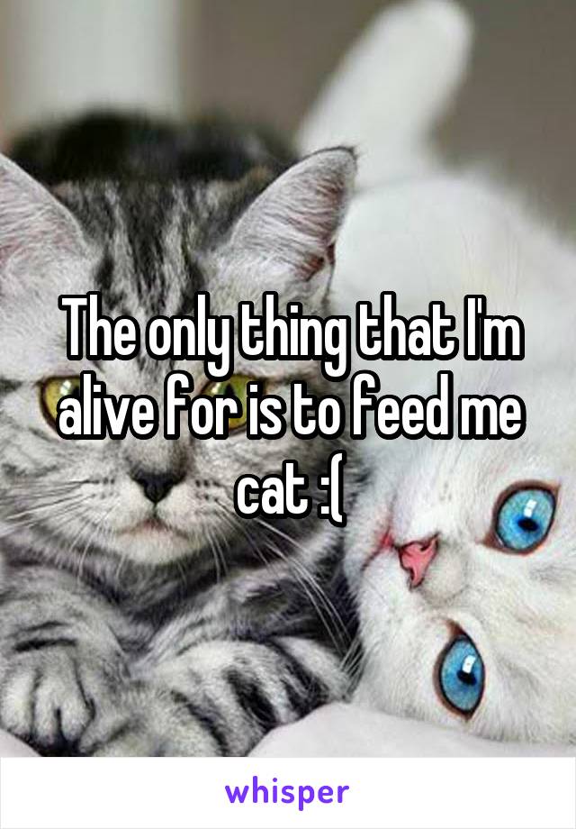 The only thing that I'm alive for is to feed me cat :(