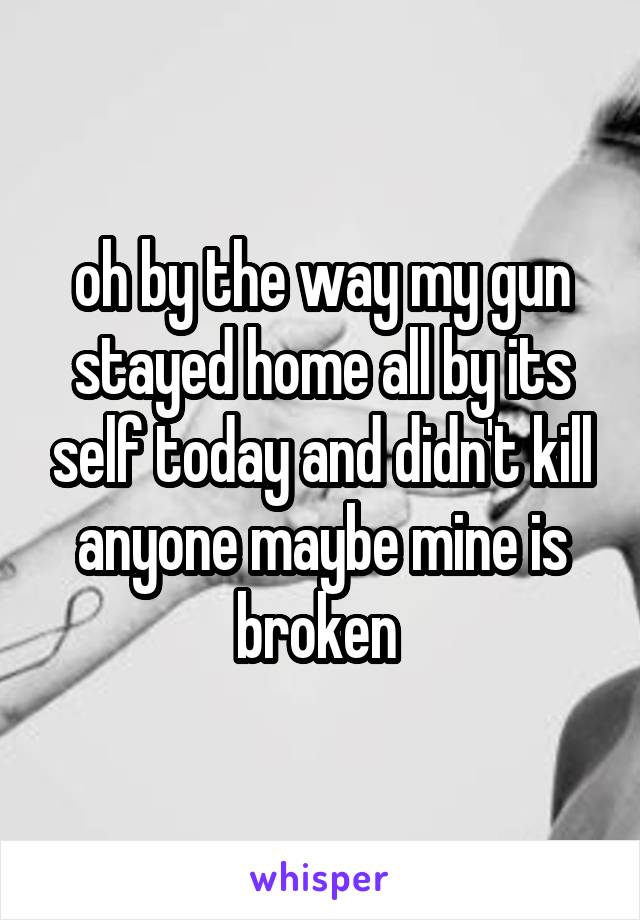 oh by the way my gun stayed home all by its self today and didn't kill anyone maybe mine is broken 