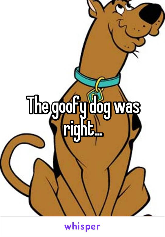 The goofy dog was right...