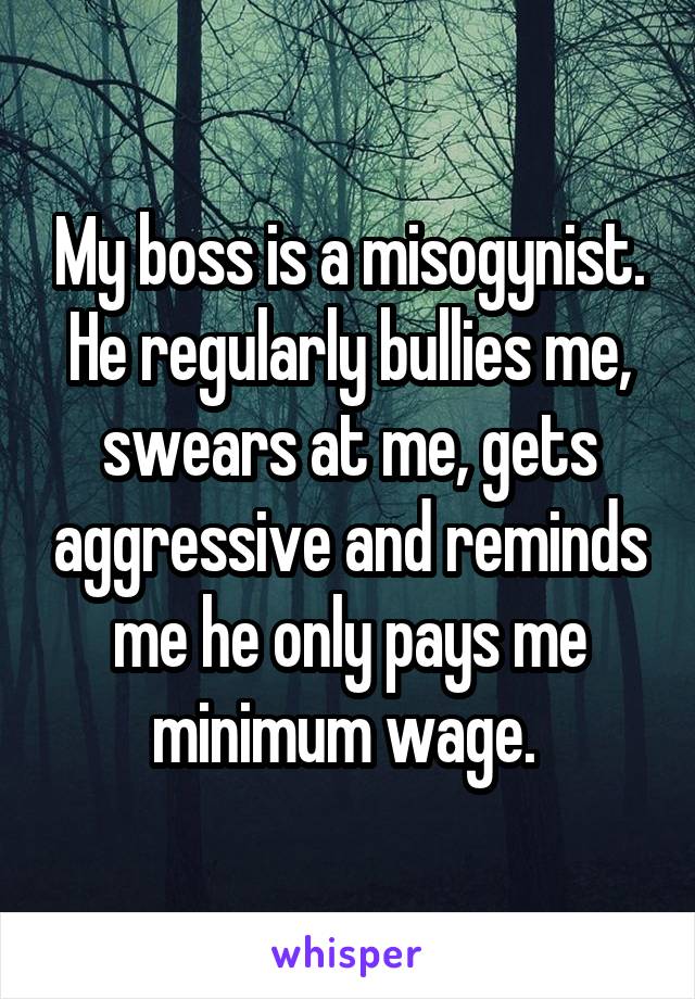 My boss is a misogynist. He regularly bullies me, swears at me, gets aggressive and reminds me he only pays me minimum wage. 