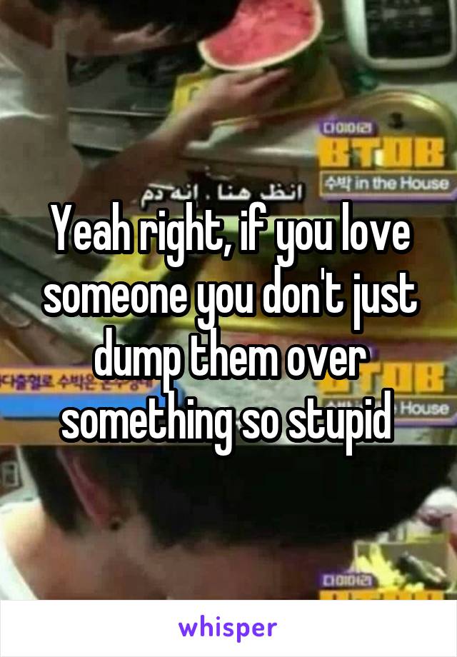 Yeah right, if you love someone you don't just dump them over something so stupid 