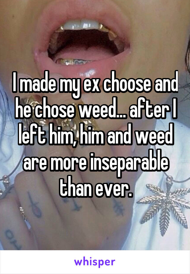 I made my ex choose and he chose weed... after I left him, him and weed are more inseparable than ever.