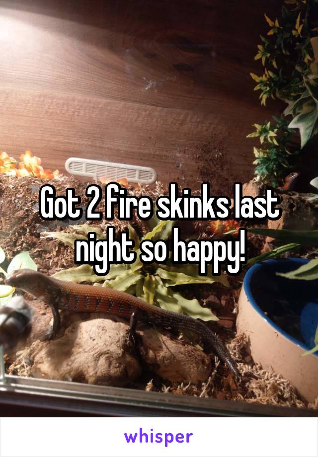 Got 2 fire skinks last night so happy!