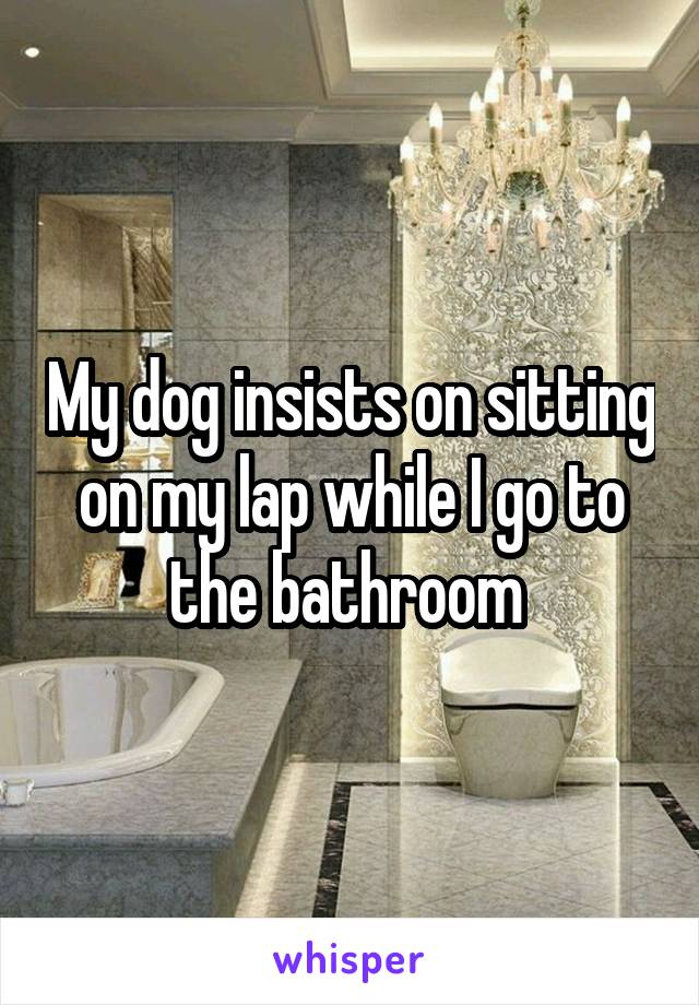 My dog insists on sitting on my lap while I go to the bathroom 
