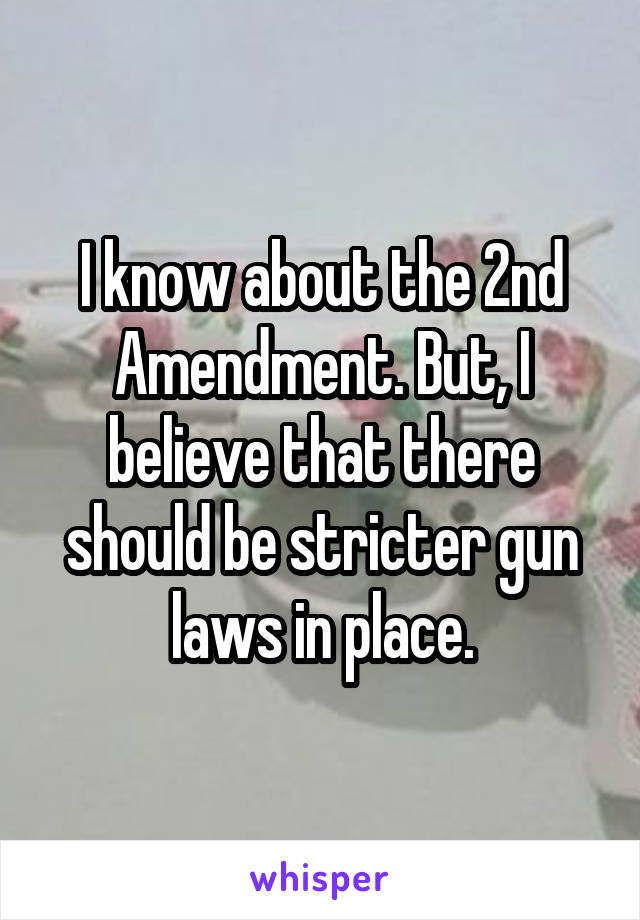I know about the 2nd Amendment. But, I believe that there should be stricter gun laws in place.