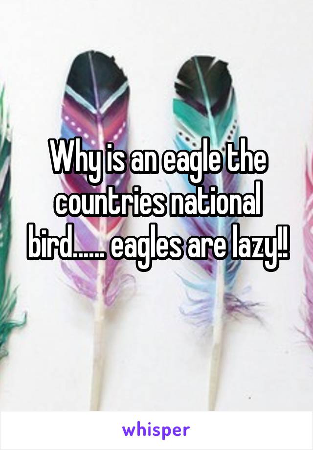 Why is an eagle the countries national bird...... eagles are lazy!!
