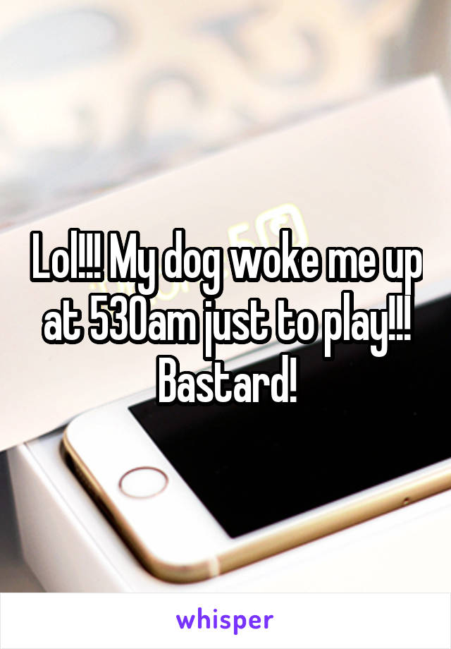 Lol!!! My dog woke me up at 530am just to play!!! Bastard!