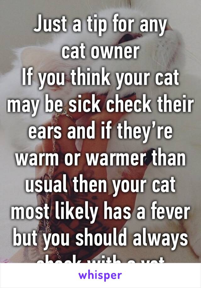 Just a tip for any cat owner 
If you think your cat may be sick check their ears and if they’re warm or warmer than usual then your cat most likely has a fever but you should always check with a vet 