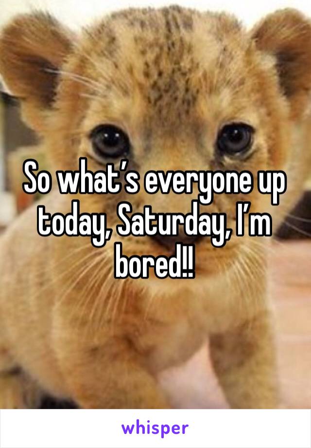 So what’s everyone up today, Saturday, I’m bored!!