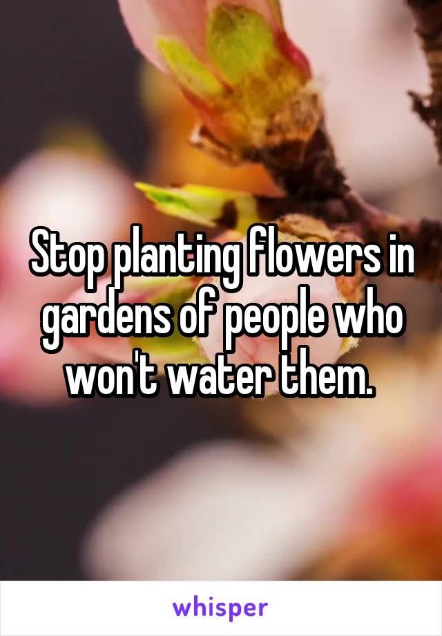 Stop planting flowers in gardens of people who won't water them. 