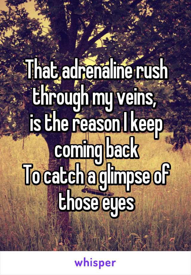 That adrenaline rush through my veins, 
is the reason I keep coming back
To catch a glimpse of those eyes