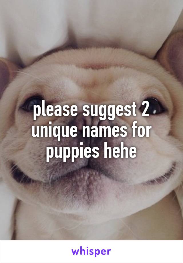 please suggest 2 unique names for puppies hehe
