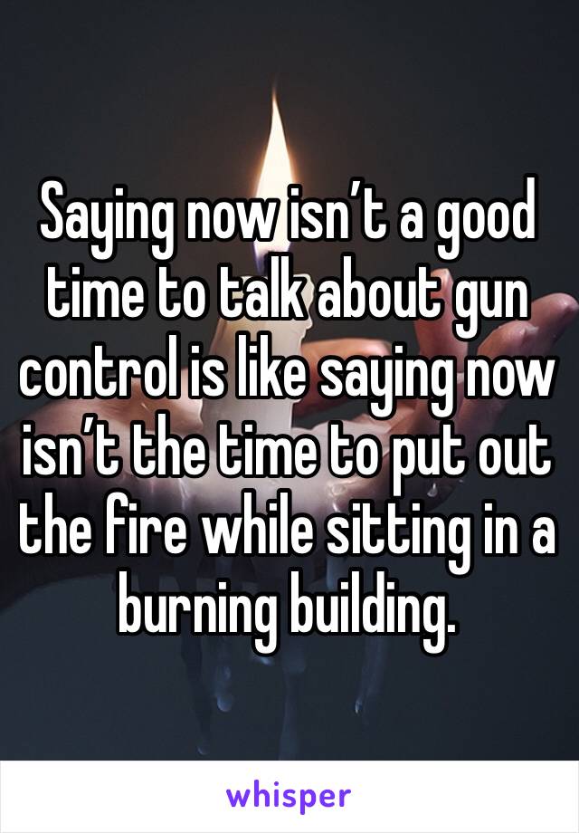 Saying now isn’t a good time to talk about gun control is like saying now isn’t the time to put out the fire while sitting in a burning building.