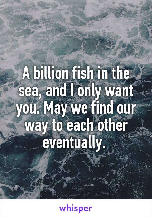 A billion fish in the sea, and I only want you. May we find our way to each other eventually. 