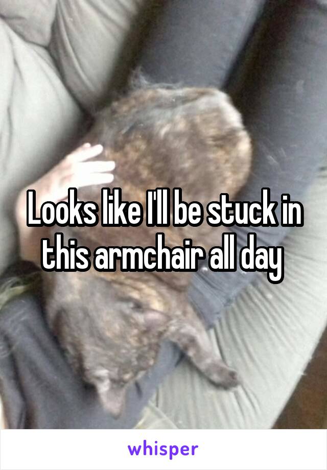 Looks like I'll be stuck in this armchair all day 