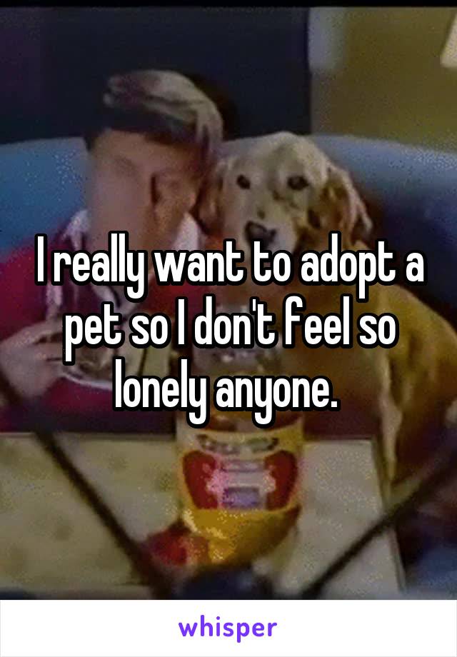 I really want to adopt a pet so I don't feel so lonely anyone. 