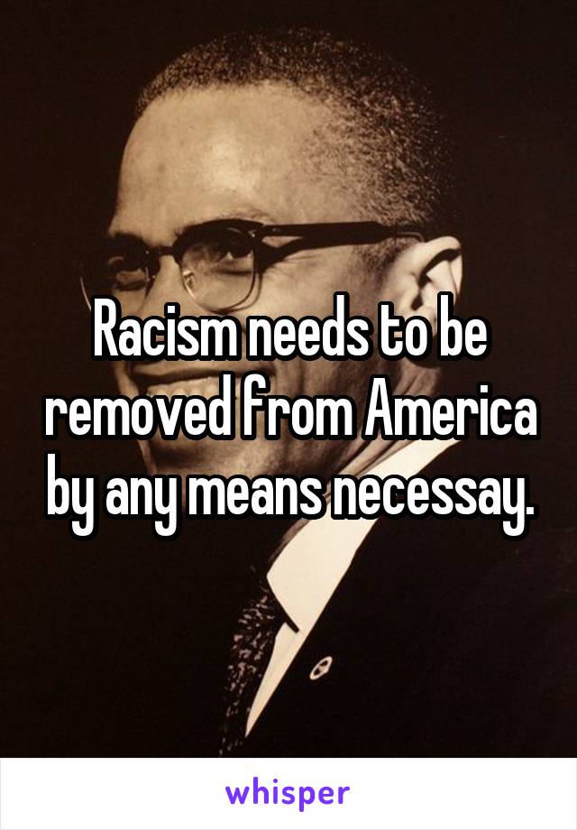 Racism needs to be removed from America by any means necessay.