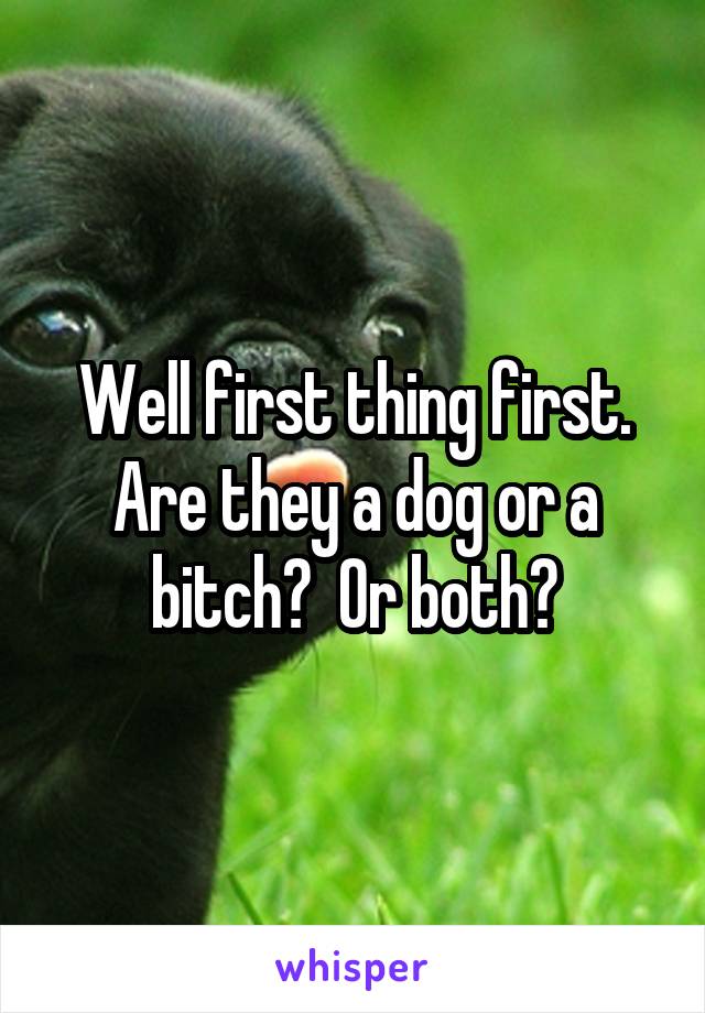 Well first thing first. Are they a dog or a bitch?  Or both?