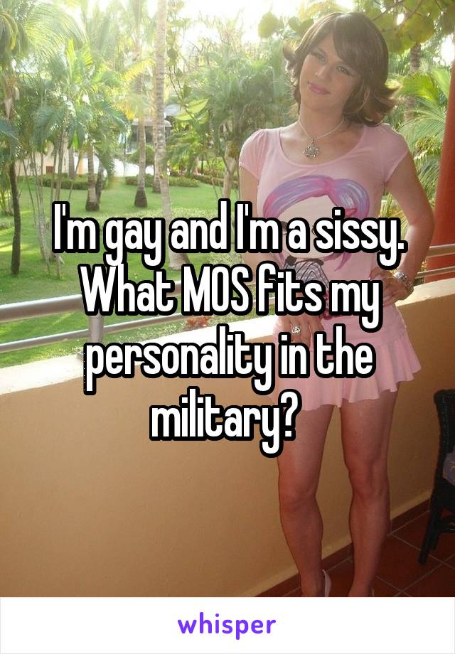 I'm gay and I'm a sissy. What MOS fits my personality in the military? 