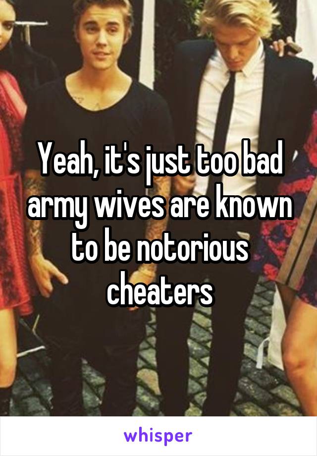 Yeah, it's just too bad army wives are known to be notorious cheaters