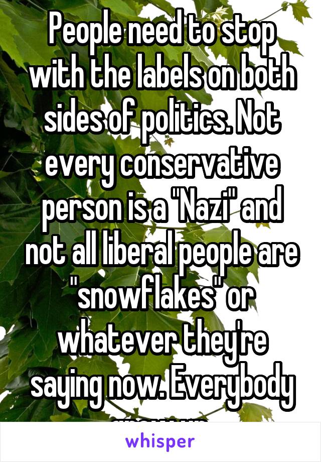 People need to stop with the labels on both sides of politics. Not every conservative person is a "Nazi" and not all liberal people are "snowflakes" or whatever they're saying now. Everybody grow up.