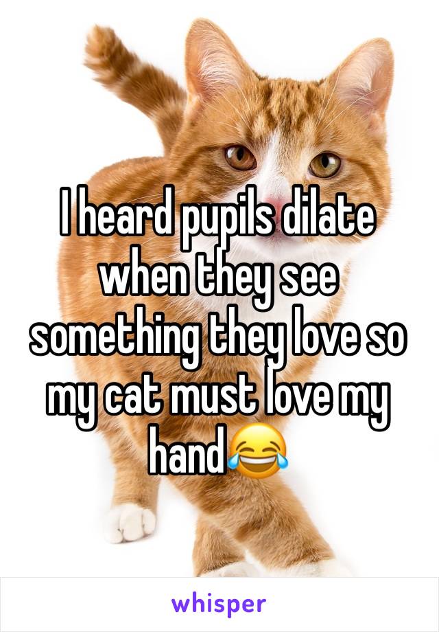 I heard pupils dilate when they see something they love so my cat must love my hand😂