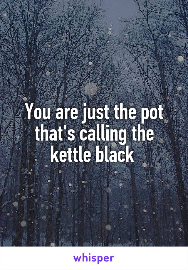 You are just the pot that's calling the kettle black 