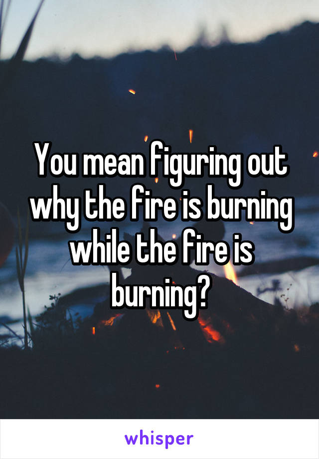 You mean figuring out why the fire is burning while the fire is burning?