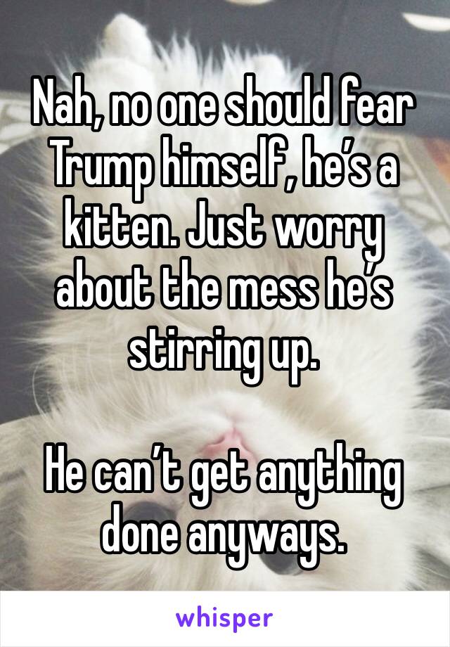 Nah, no one should fear Trump himself, he’s a kitten. Just worry about the mess he’s stirring up. 

He can’t get anything done anyways.