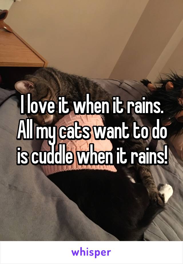 I love it when it rains. All my cats want to do is cuddle when it rains!