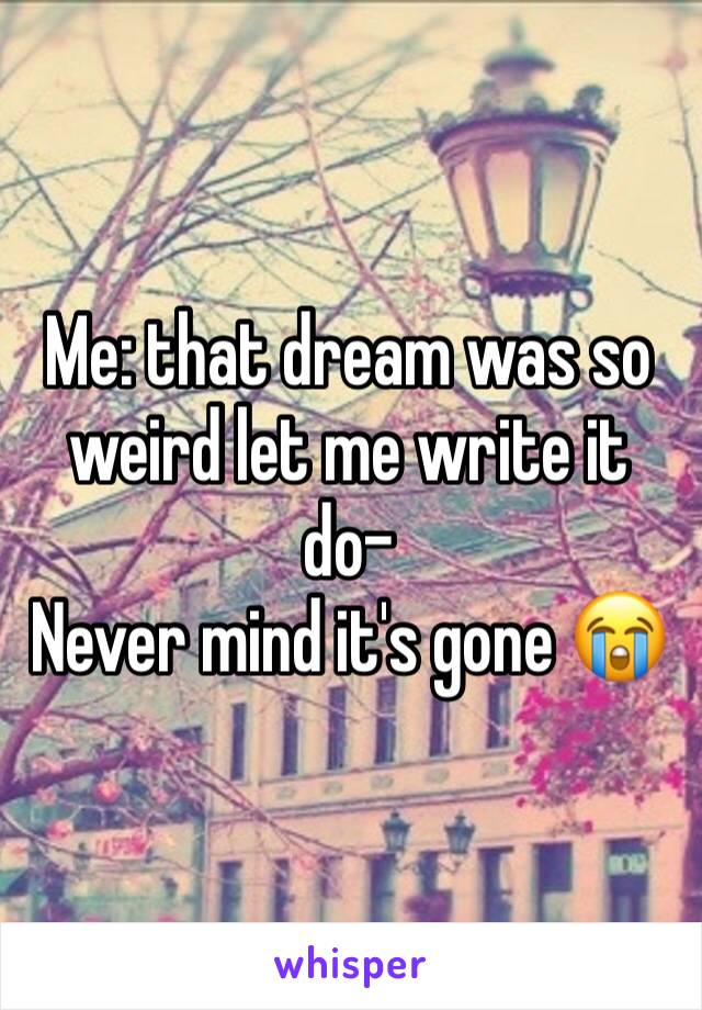 Me: that dream was so weird let me write it do- 
Never mind it's gone 😭