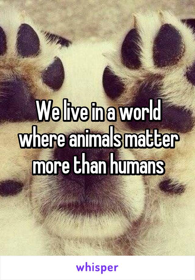 We live in a world where animals matter more than humans