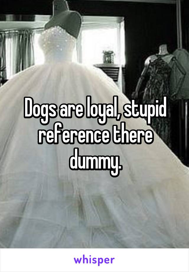 Dogs are loyal, stupid reference there dummy.