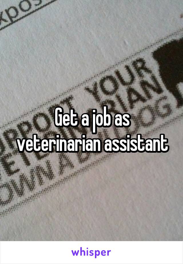 Get a job as veterinarian assistant