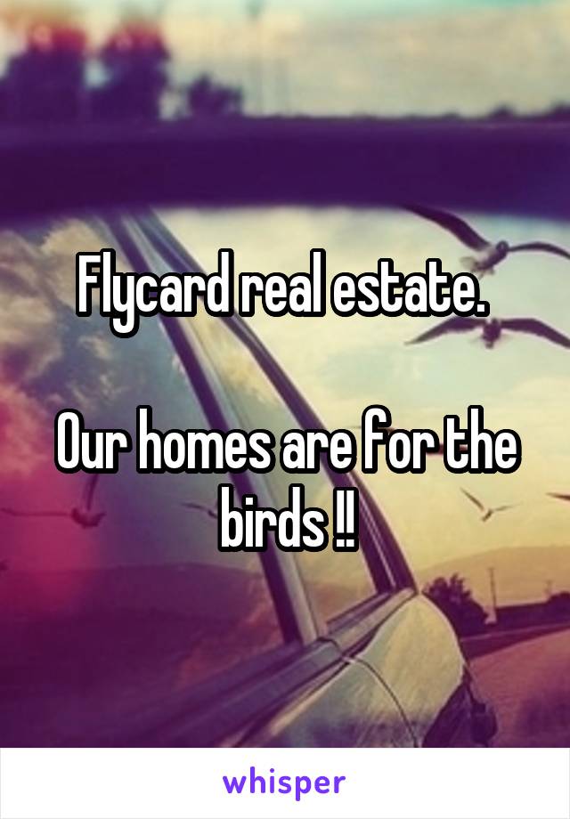 Flycard real estate. 

Our homes are for the birds !!