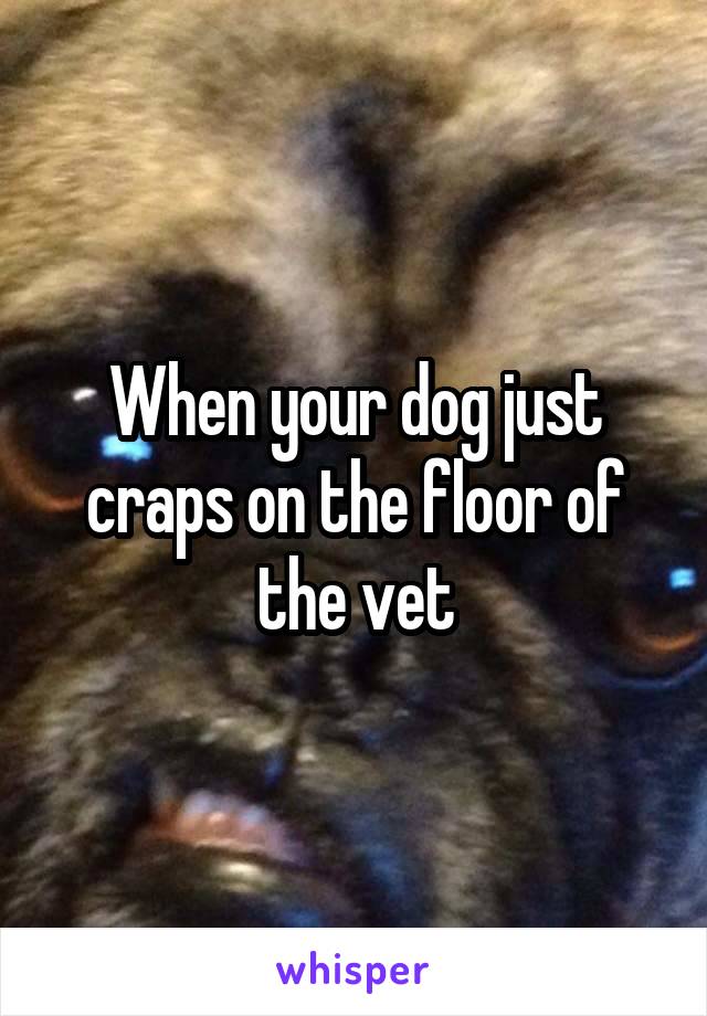 When your dog just craps on the floor of the vet